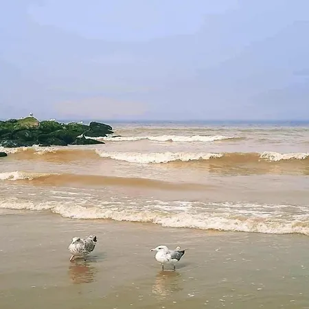 Apartman In Near The Beach, Cleaning Included